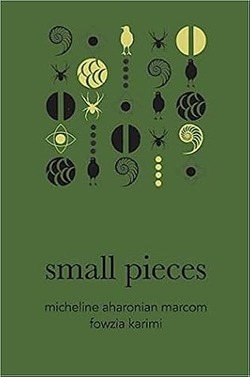 Micheline Aharonian Marcom: Small Pieces